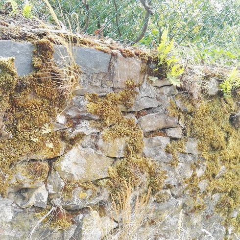 mur pierres sèches